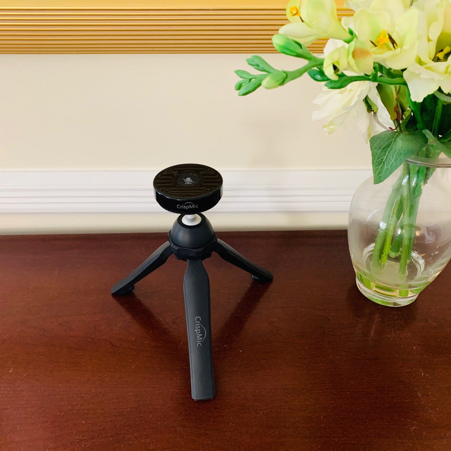 CrispMic®-Front: Far-Field, Highly Directional Voice Control and Recording